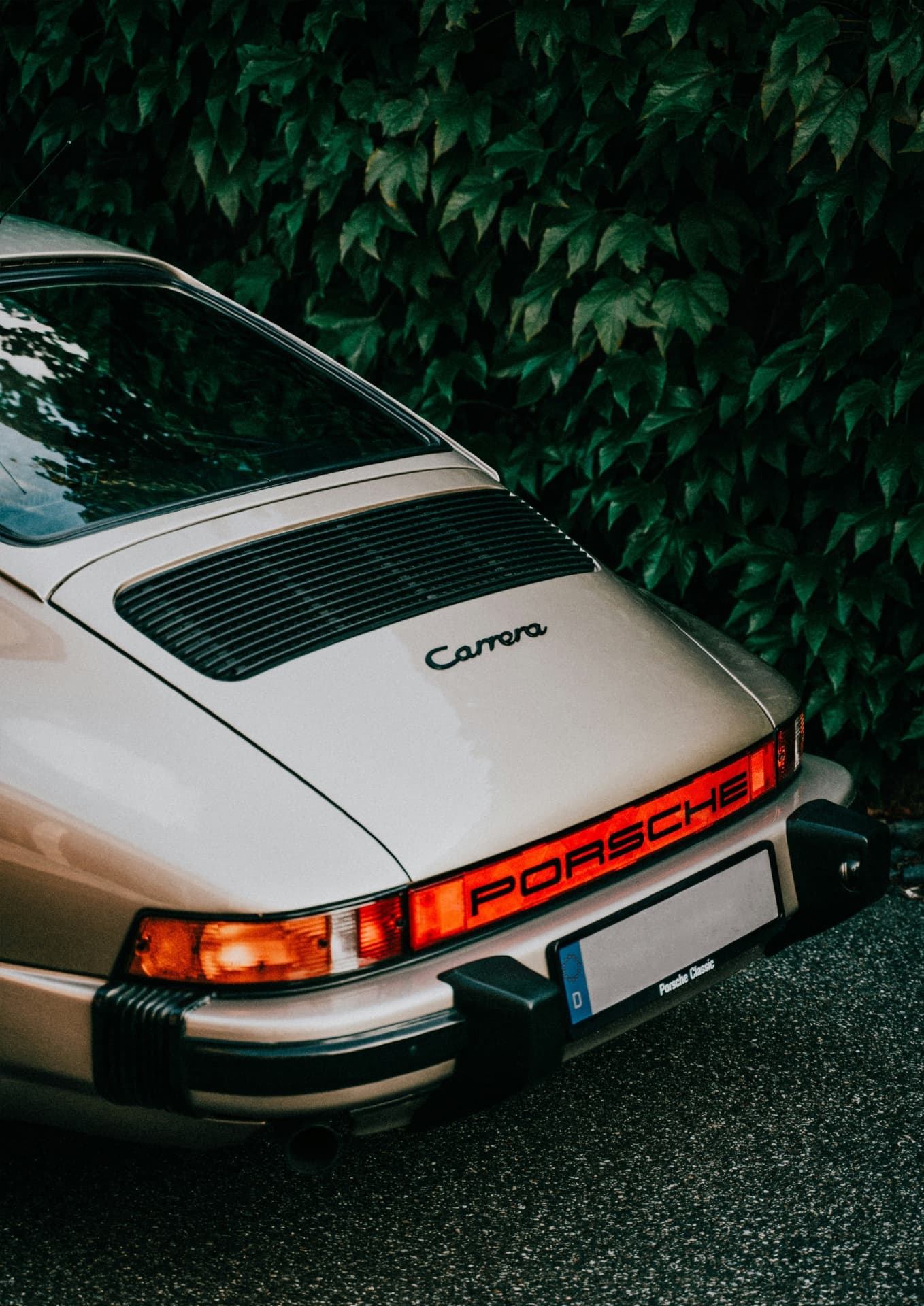 Белый Porsche Carrera вид сзади на фоне зелёной листвы